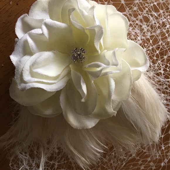 Veils - Picture 5 of 5